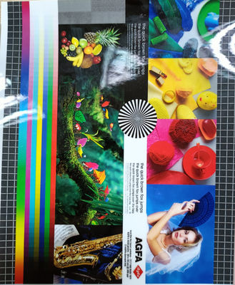 अच्छी कीमत पैकेजिंग प्रोटेक्टिव फिल्म पीईटी लेमिनेटिंग ऑन फोटो प्रदूषण से रोकता है ऑनलाइन